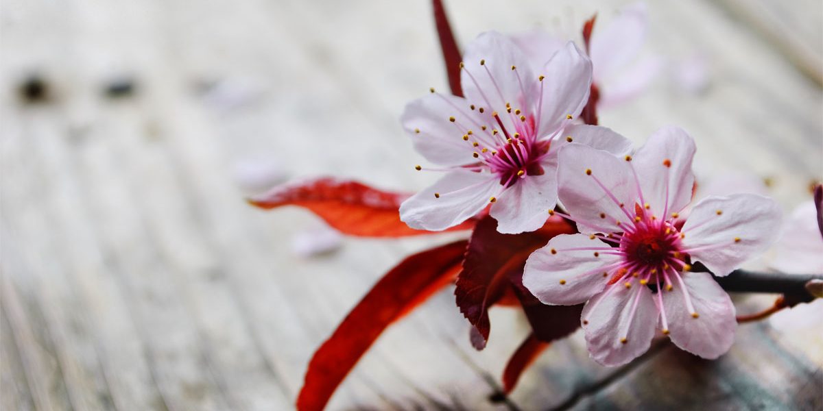 Best Time to Build a House